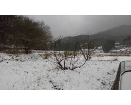 images2
