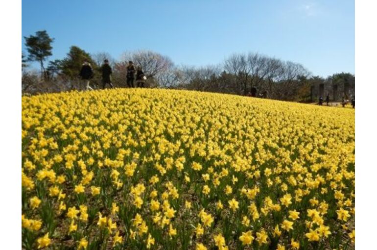 DSCN0039-450x337