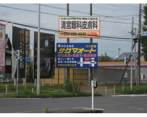 IMG_7073-500x375-500x375