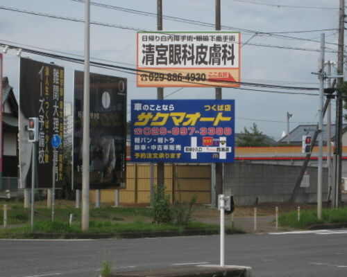 IMG_7073-500x375-500x375-500x375