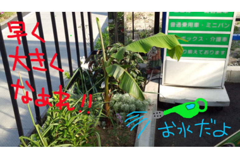 banana01-500x281