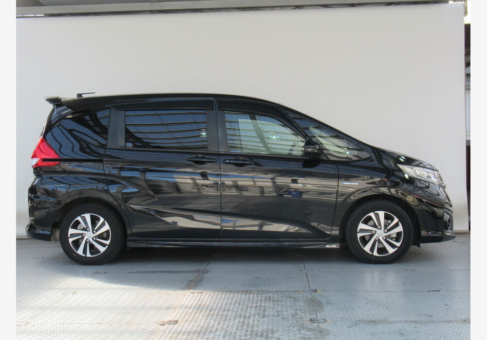 13151 (31)