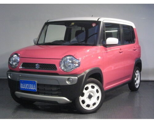 11131f-500x3751-500x375