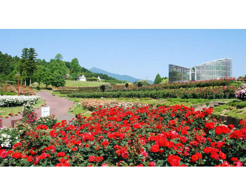 1378086925_51-500x281