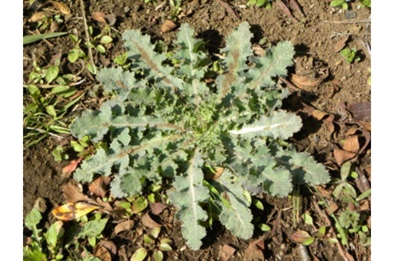 b01c81387289c31d0a67a2c0cb674ea31