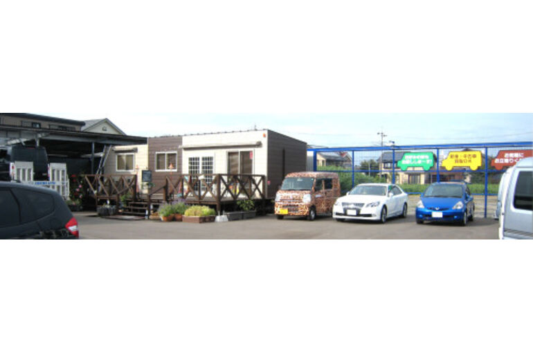 mv041-500x119