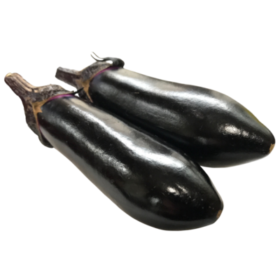 夏休みも残りわずか！！ | ブログ